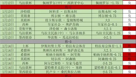 2025年中国篮球公开赛石家庄站北辰时代体育队荣获冠军